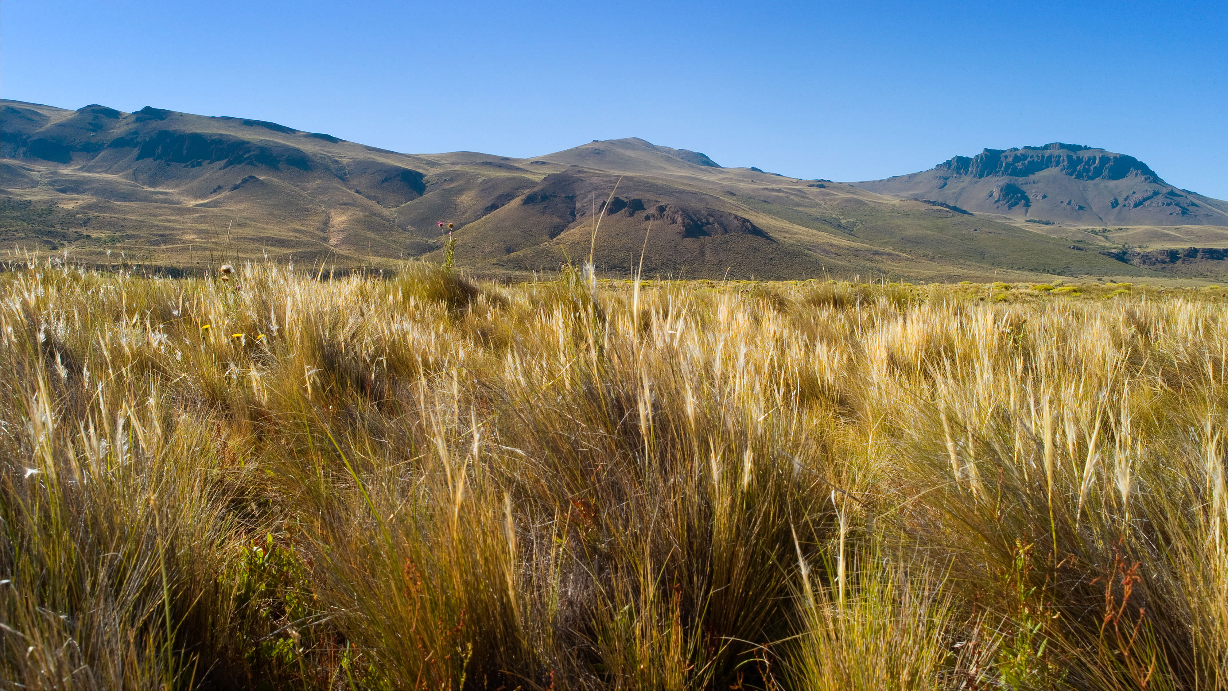 Grassland in a valley with rolling, elevated terrain in the distance.