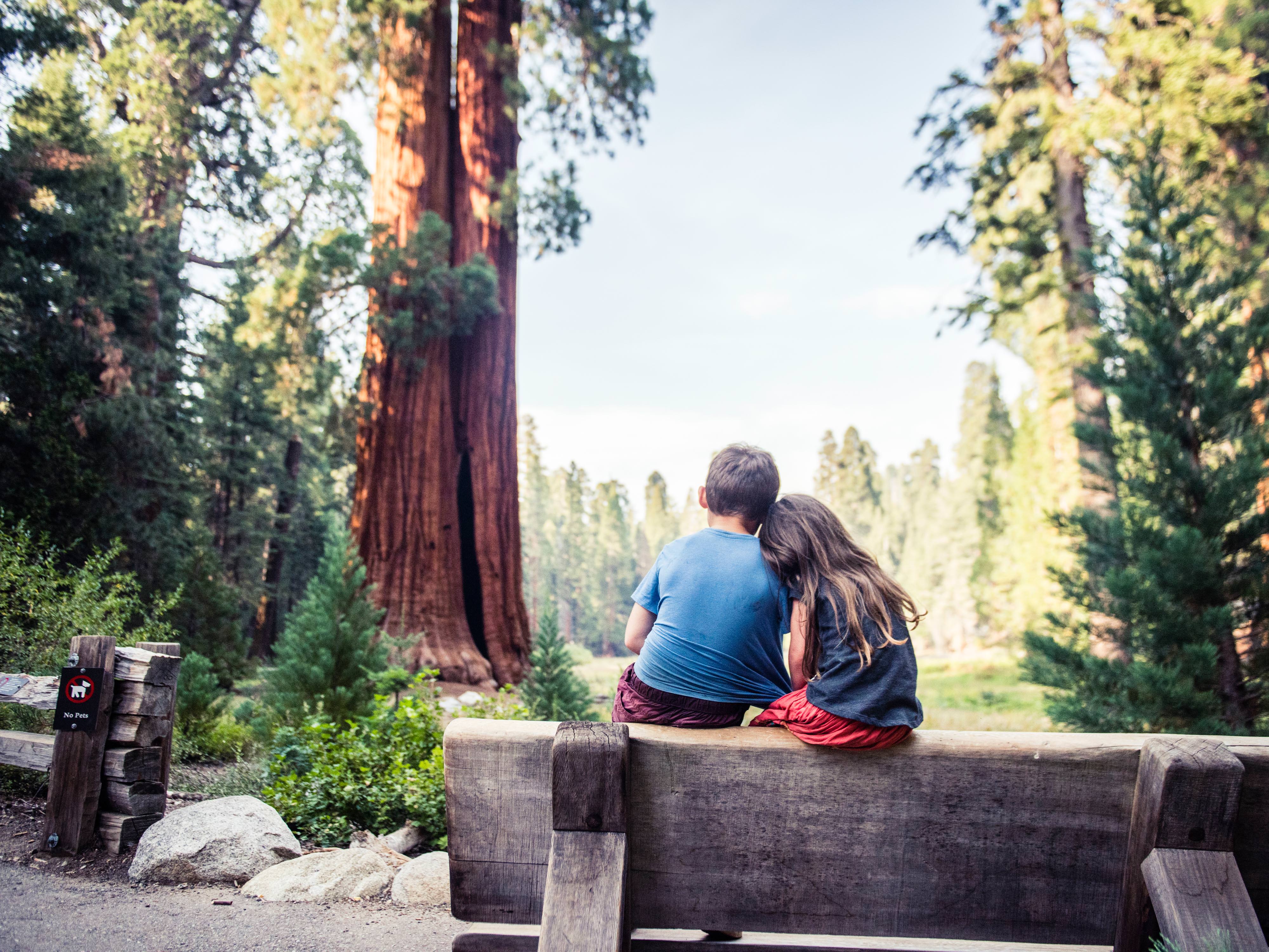 Two people sit on a bench in a forest.