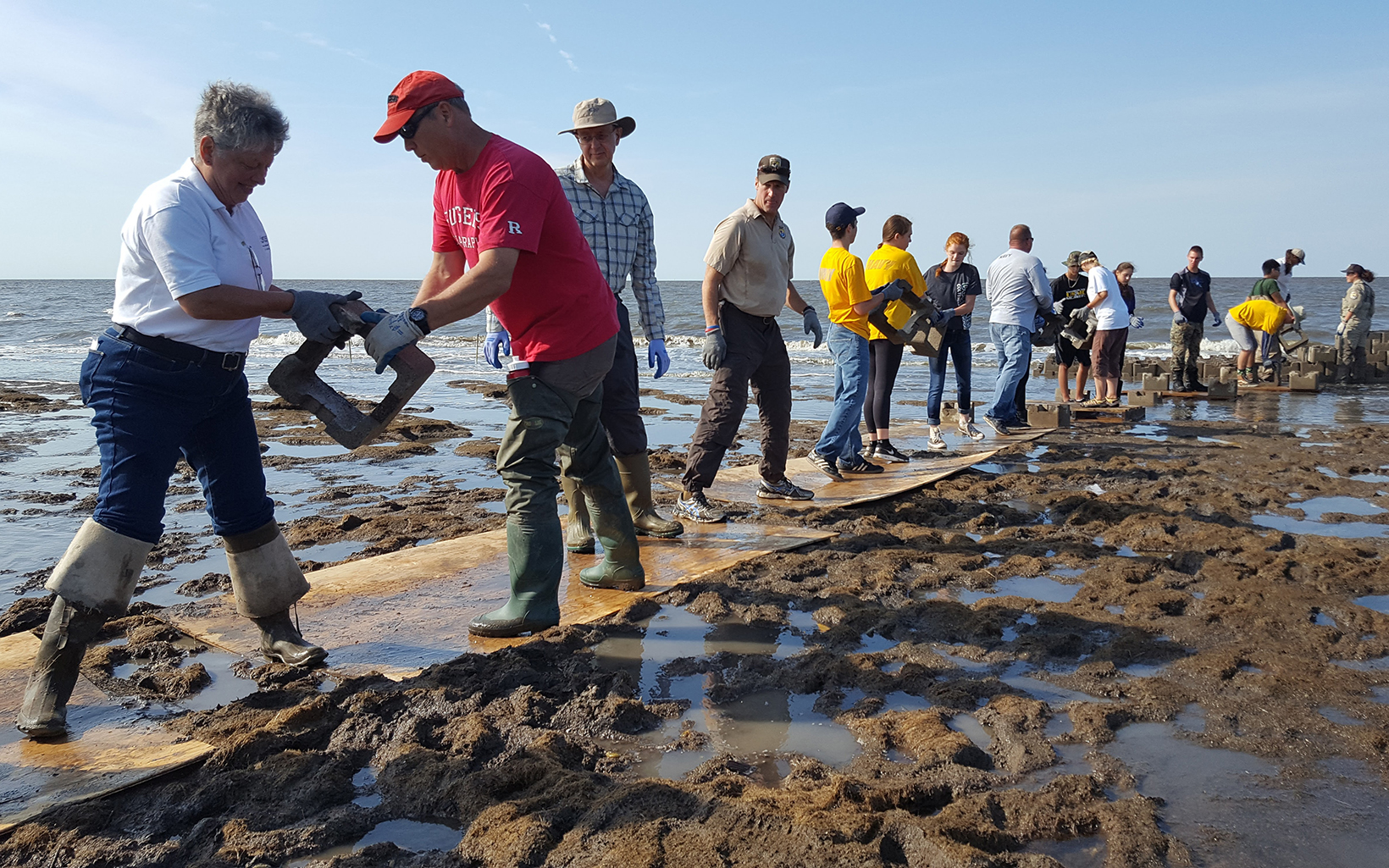Volunteers work outside along a coastline.